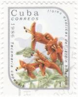 (1986-012) Марка Куба "Текома капская"    Экзотические цветы II Θ